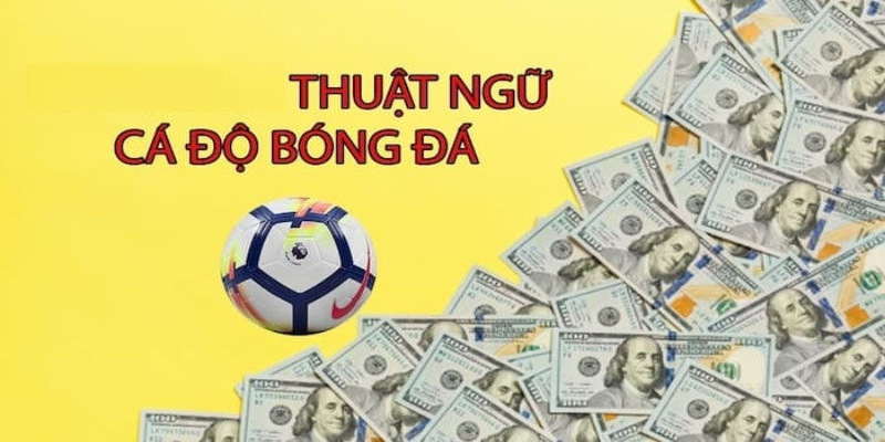 Các thuật ngữ thường dùng trong cá độ bóng đá kèo Châu Á